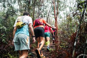 BIB: 
                            <button type="button" onclick="openModal(26297446)" class="btn btn-primary btn-sm float-right btn-popup" data-toggle="modal" data-target=".modal-high-quality">
                        <i class="fas fa-shopping-cart"></i> Add to Cart
                    </button>
                                            <button type="button" onclick="isThisMe(26297446, true)" class="btn btn-success btn-sm float-right btn-popup btn-isme hidden" data-toggle="tooltip" data-placement="bottom" title="นี่คือรูปของคุณใช่ไหม คลิกที่นี่เพื่อเอาเข้าอัลบั้ม">
                        <i class="fas fa-plus"></i> Add to album
                    </button>
                    <button type="button" onclick="isThisMe(26297446, false)" class="btn btn-warning btn-sm float-right btn-popup btn-isnotme hidden">
                        <i class="fas fa-ban"></i> Remove from album
                    </button>